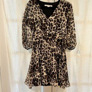Diane Von Furstenberg Leopard Print Mini Dress